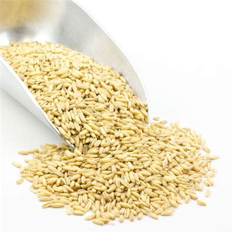Organic Whole Oat Groats 5 Lbs Pack Of 10 Hulled Bulk Nuts 4 You