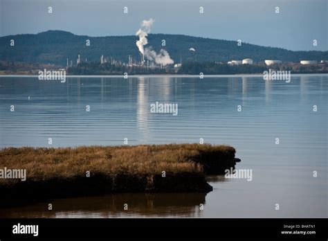 Padilla Bay Is An Estuary At The Saltwater Edge Of The Large Delta Of