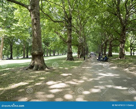 Green Park London Editorial Stock Photo Image Of Forests 96147613