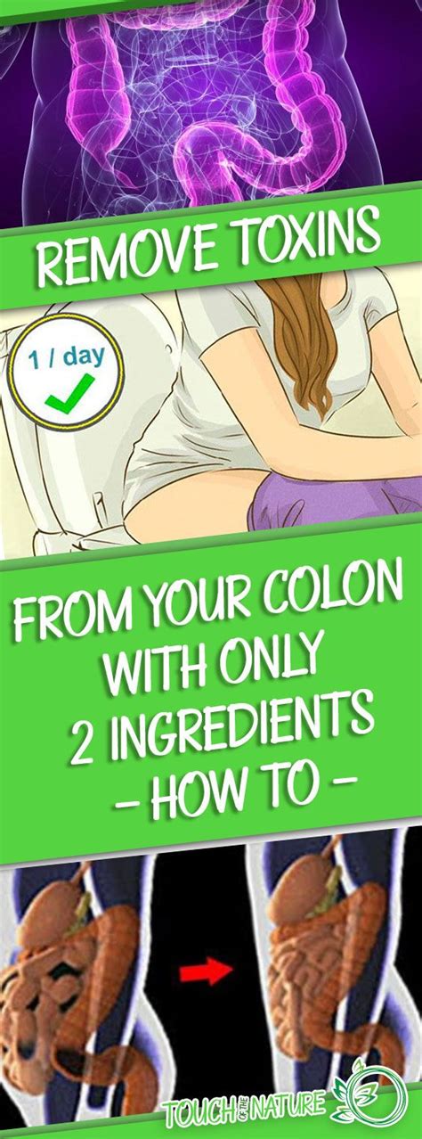 Remove 20 Pounds Of Toxins From Your Colon With Only 2 Ingredients Touch Of The Nature
