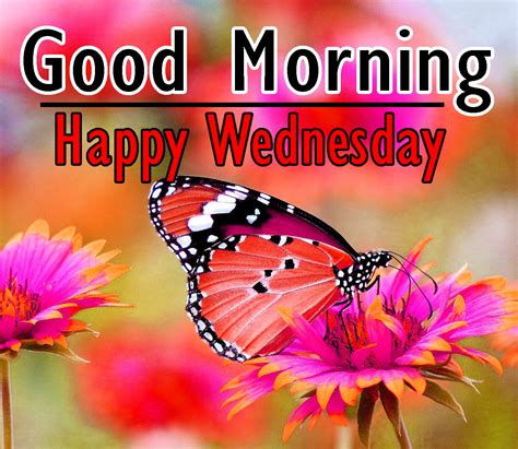 136 Good Morning Wednesday Images For Whatsapp Download