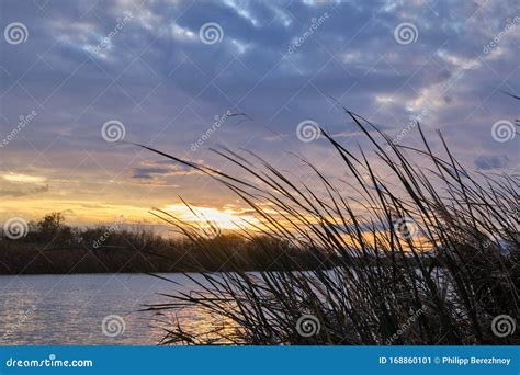 Sunset Landscape At Reed Grown River Bank Stock Image Image Of Hour