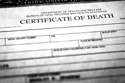 Why would it take longer to get dna paternity test results? What Common Organizations Requires A Copy Of A Death ...