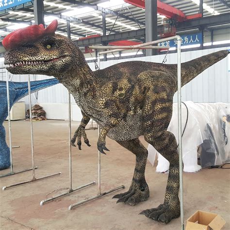 Compared With Those Of The T Rex Costumes And Raptor Blue Costume