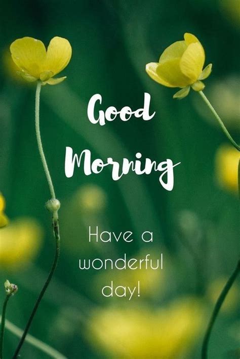 Best Good Morning Greetings Images Wishes Messages
