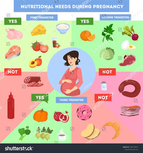 Nutrition Infographics Pregnant Woman Healthy Diet Stock Vector