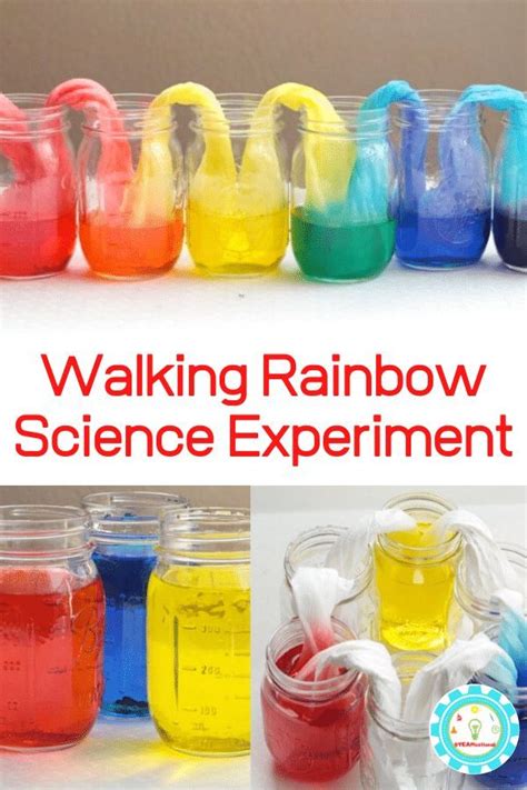 Easy And Fun Walking Rainbow Science Experiment In 2020 Science
