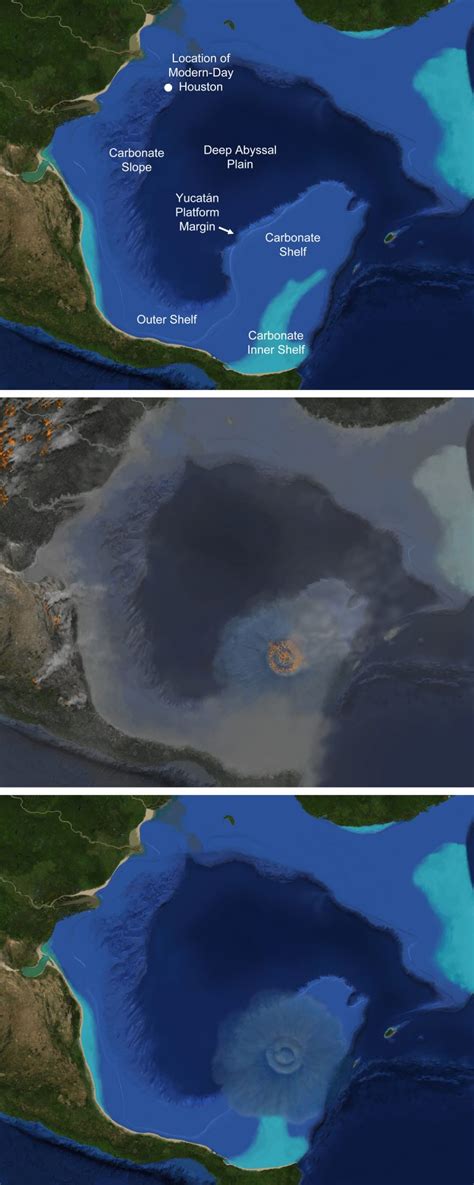 The Chicxulub Impact Crater Producing A Cradle Of Life In The Midst Of