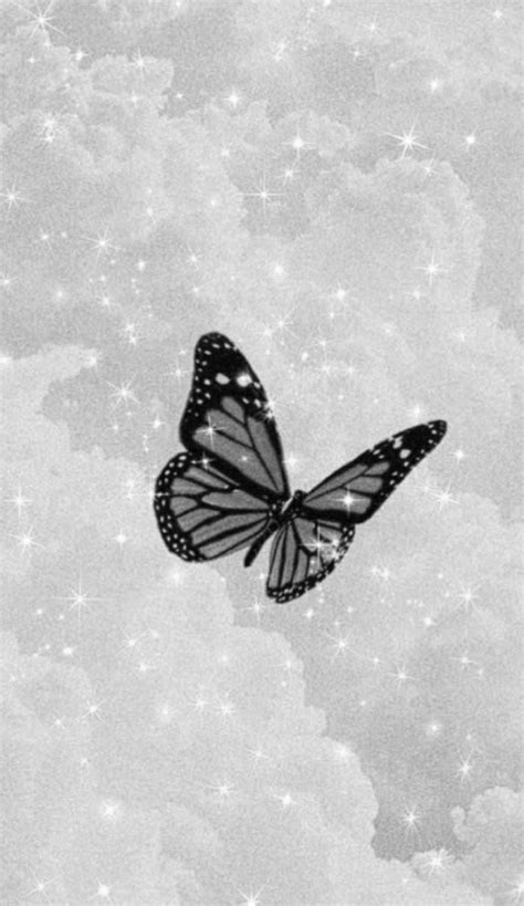 Aesthetic Butterfly Wallpaper Cave