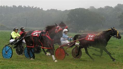 Wales And Border Harness Racing Llwyns Mercy Races To Grade A Win At Almely Cambrian Uk