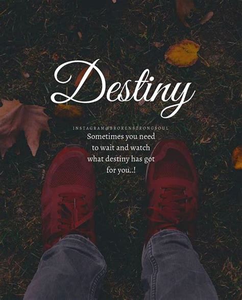 Destiny Destiny Quotes True Feelings Quotes Positive Quotes