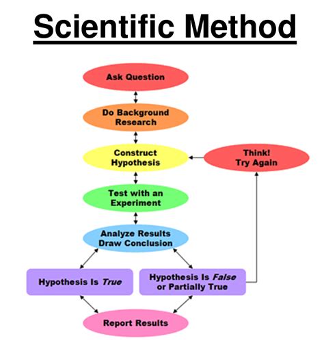 Flow Chart Scientific Method