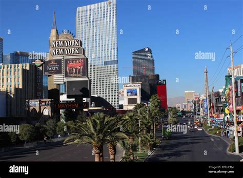 Las Vegas Strip With New York New York Hotel And Palm Tree Views Las