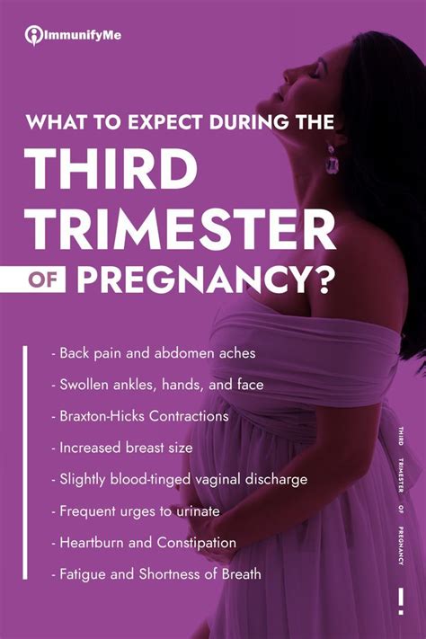 What To Expect During The Third Trimester Of Pregnancy Pregnancy Back