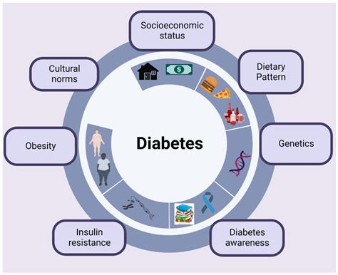 ijms free full text support provided by caregivers for community dwelling diabetic hispanic
