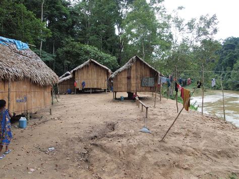 Kuala koh national park is located within the gua musang district of kelantan and part of the bukit hantu and lebir forest reserves. Vaccination for Batek people in Kuala Koh