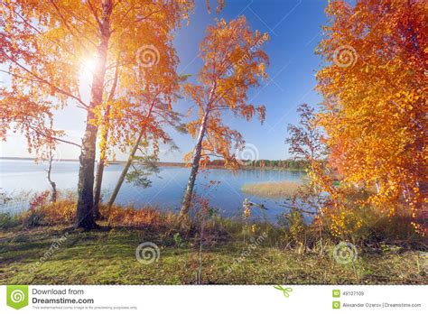 Autumnal Park Autumn Trees And Lake Stock Image Image Of Foliage