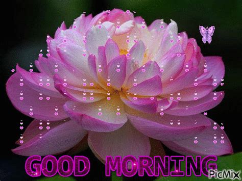 20 Beautiful Animated Good Morning Images To Start Your Day