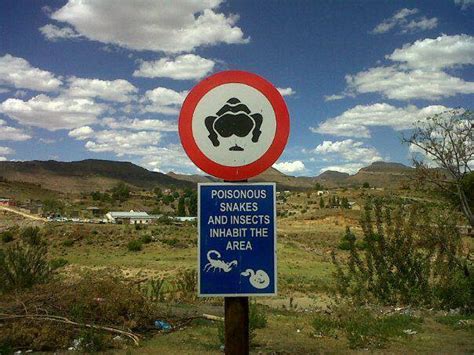 Funny And Interesting Road Signs Arrive Alive