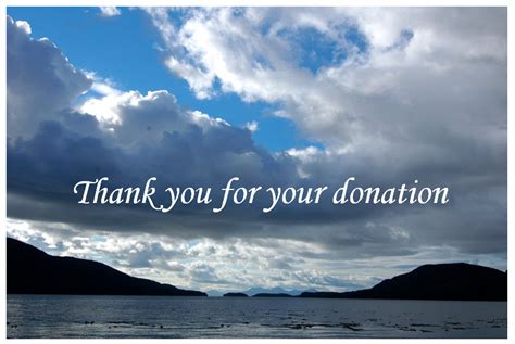 For instance, thank you for your donation of $200. mentioning the amount initially serves as a confirmation of the amount and a reminder for the donor. Thank you for your donation | Accessible Gardens
