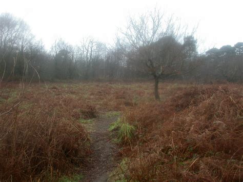 Chewton Common © Mike Faherty Cc By Sa20 Geograph Britain And Ireland