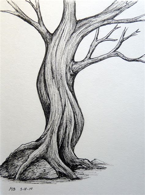 Realistic Easy Pencil Tree Drawing Easy Drawing Ideas