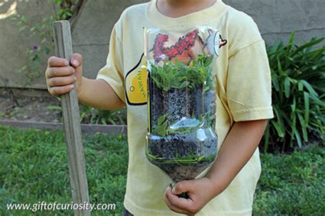 Diy Worm Tower Kids Can Make T Of Curiosity