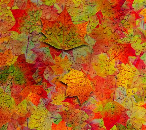 Leaves 3d Autumn Fall Leaf Season Tree Hd Wallpaper Peakpx