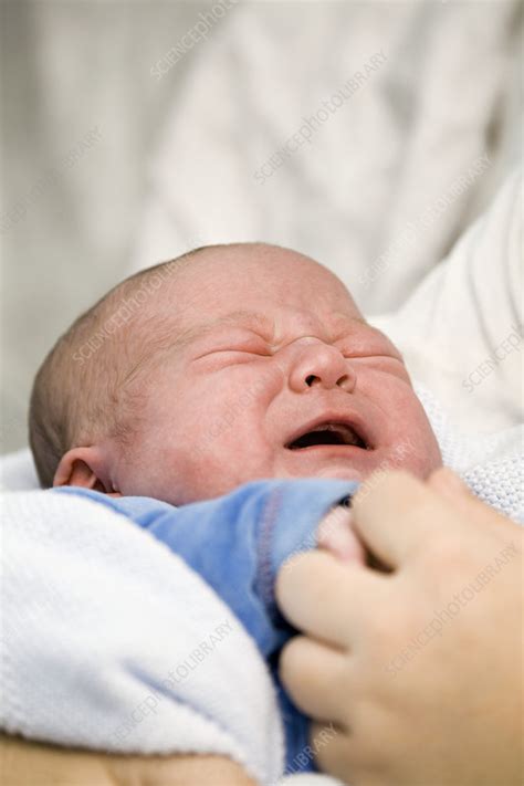 Newborn Baby Crying Stock Image M Science Photo Library