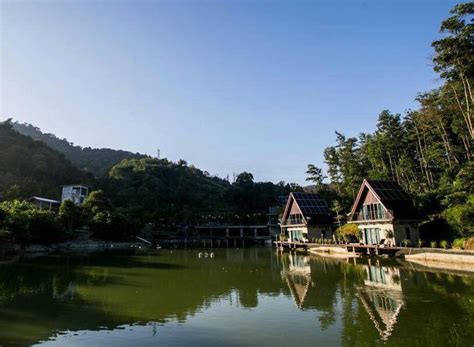 As soon as you stop into the resort. Mantin Forest Art Resort Tempat Menginap Yang Menenangkan ...