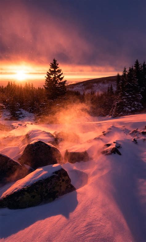 1280x2120 Winter Snow Sunset Iphone 6 Hd 4k Wallpapers Images