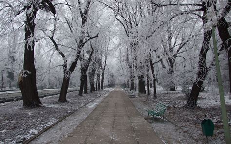 Nature Landscapes Winter Snow Frost Seasons Park Garden Path