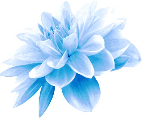 Blue Flower Png Blue Flower Png Transparent Free For Download On