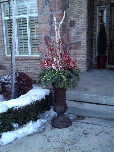 Winter Pots Plants Flowers Garden