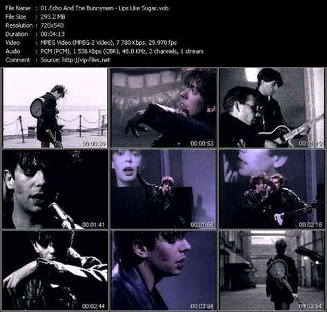 Echo And The Bunnymen Lips Like Sugar Free Download Music Video