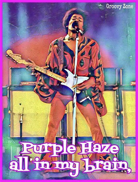 Jimi Hendrix Poster Stevie Ray Vaughan Purple Haze Rockin Groovy