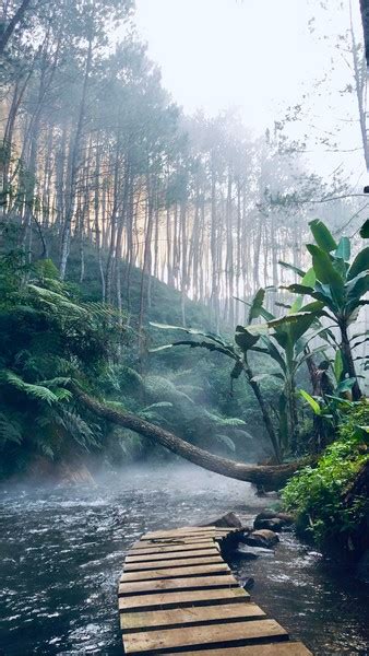 Wisata Kampung Singkur Pangalengan Tempat Wisata Kabupaten Bandung