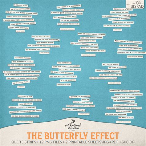 The Butterfly Effect Quote Strips