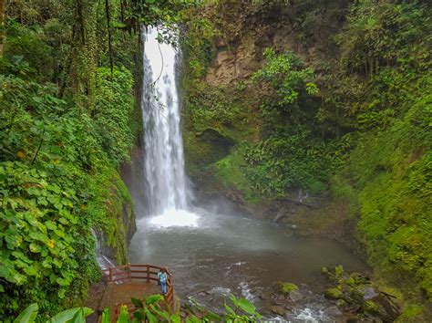 Volcán Poás Y La Paz Waterfall Gardens En Costa Rica Vivaviajar