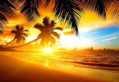 47 Tropical Sunset Wallpaper Desktop On Wallpapersafari