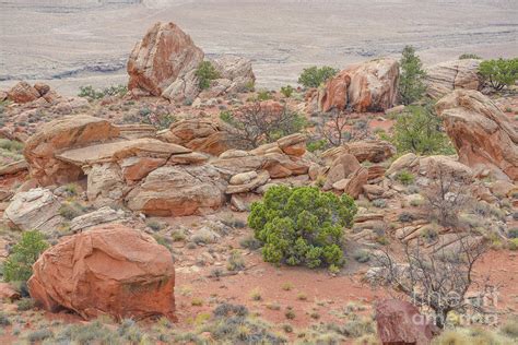 Beautiful Red Rock Landscape In Coconino County Arizona Photograph By