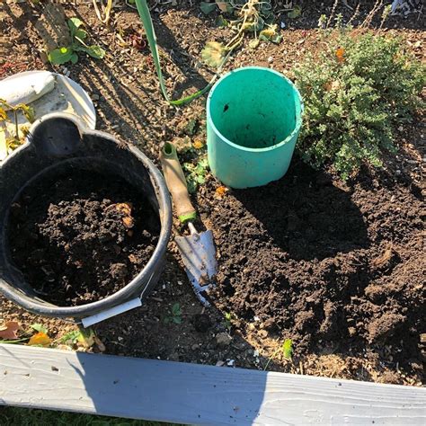 A Bucket And Fork Are Sitting In The Dirt Next To A Garden Bed With Plants