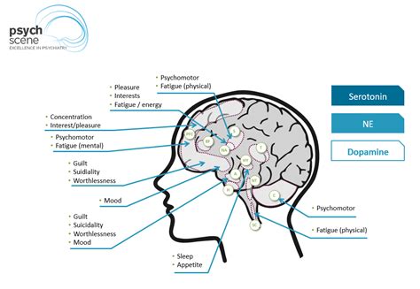 Transcranial Magnetic Stimulation For Depression Review Of The Evidence