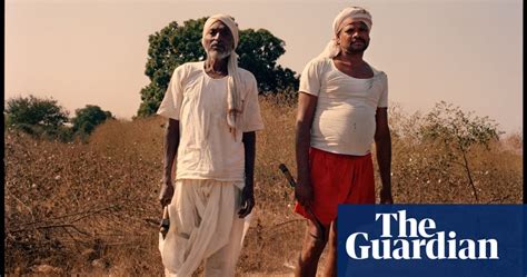Indias Farmer Suicides Are Deaths Linked To Gm Cotton In Pictures
