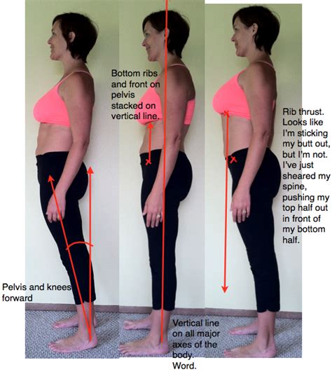 Your Posture And Alignment Can Support Your Body Function Or Contribute