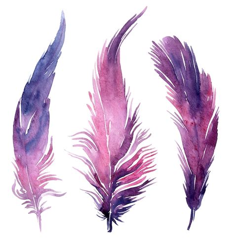 Premium Photo Set Of Watercolor Boho Feather Illustrations