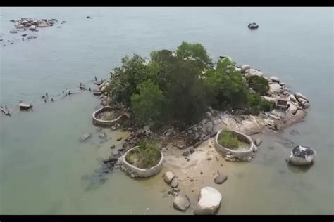 Indonesia Punya Pulau Terkecil Di Dunia Mengenal Pulau Simping Di Kota Singkawang Kalimantan