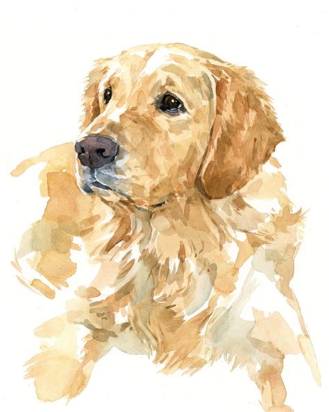 Golden Labrador Retriever 8x10 Watercolor Art In 2019 Watercolor