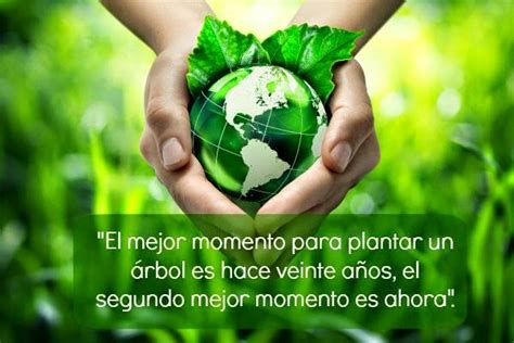 Imágenes Con Frases Relacionadas Al Cuidado Del Medio Ambiente