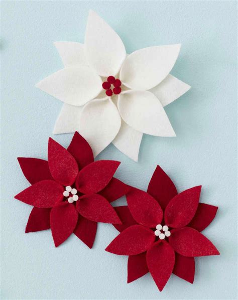 Poinsettia Flower Garden Kit Instructions Garden Design